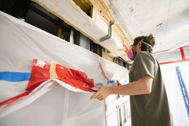 Best Attic Mold Removal  in Lower Burrell, PA